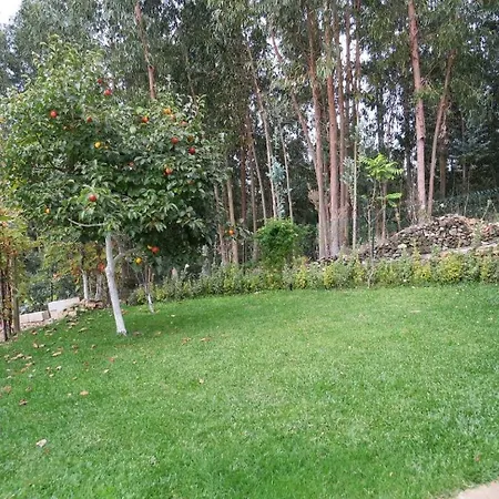 Quinta Da Gaiya